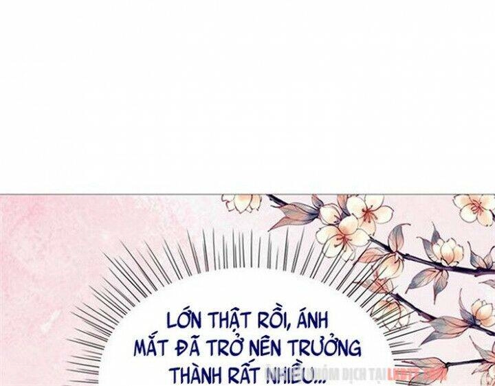 Trọng Sinh Bá Sủng Nhiếp Chính Vương Quá Mạnh Mẽ Chapter 94 - 6