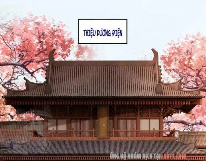 Trọng Sinh Bá Sủng Nhiếp Chính Vương Quá Mạnh Mẽ Chapter 98 - 43