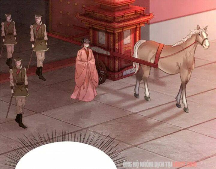 Trọng Sinh Bá Sủng Nhiếp Chính Vương Quá Mạnh Mẽ Chapter 126 - 17