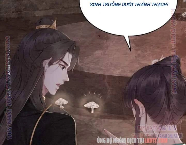 Trọng Sinh Bá Sủng Nhiếp Chính Vương Quá Mạnh Mẽ Chapter 204 - 10