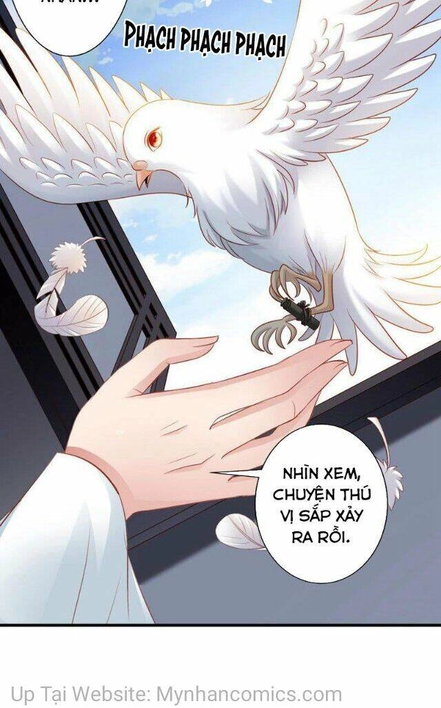 Thái Tử Điện Hạ Có Tin Vui Chapter 95 - 28