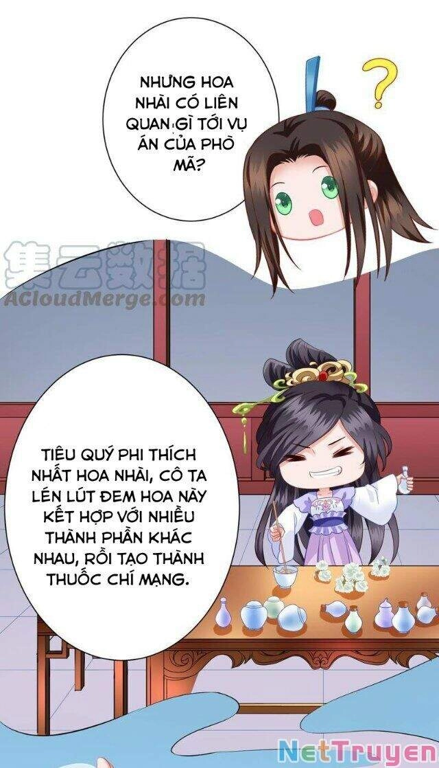 Thái Tử Điện Hạ Có Tin Vui Chapter 139 - 19