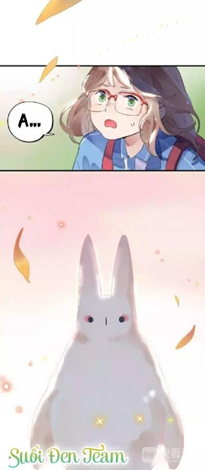 Dolo Mệnh Vận Giao Nang Chapter 1.6 - 3