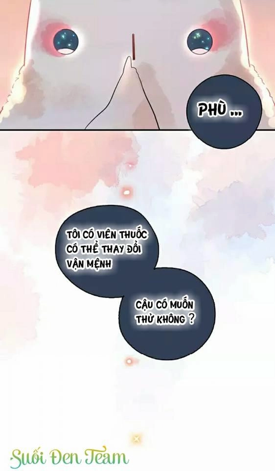 Dolo Mệnh Vận Giao Nang Chapter 1.6 - 4