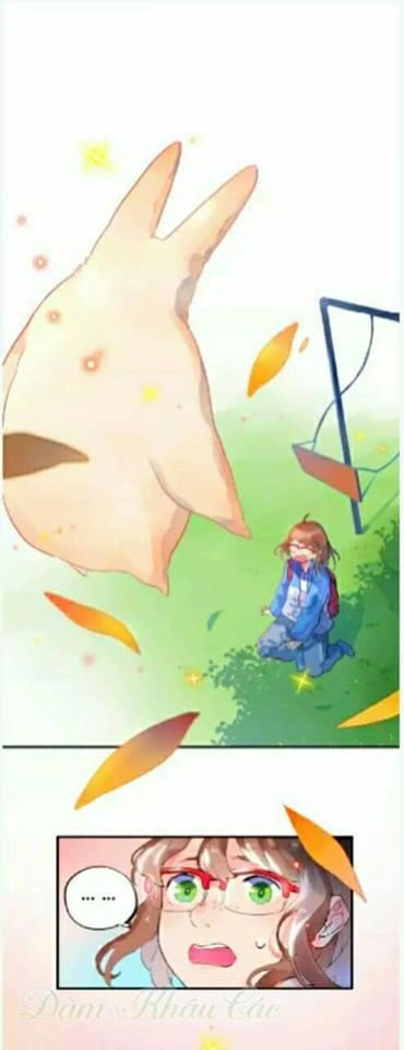 Dolo Mệnh Vận Giao Nang Chapter 2 - 2