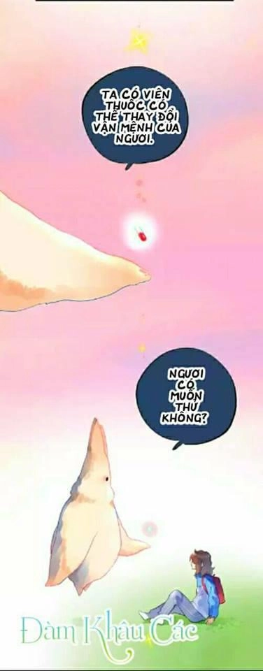 Dolo Mệnh Vận Giao Nang Chapter 2 - 3