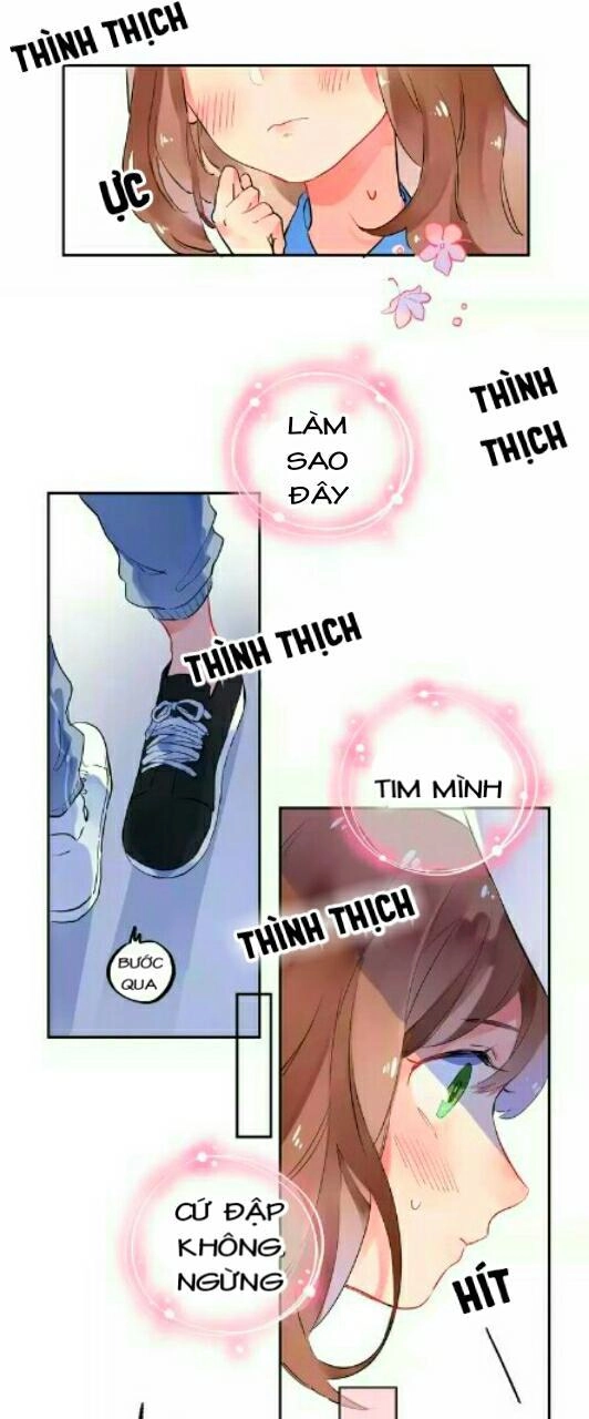 Dolo Mệnh Vận Giao Nang Chapter 4 - 28