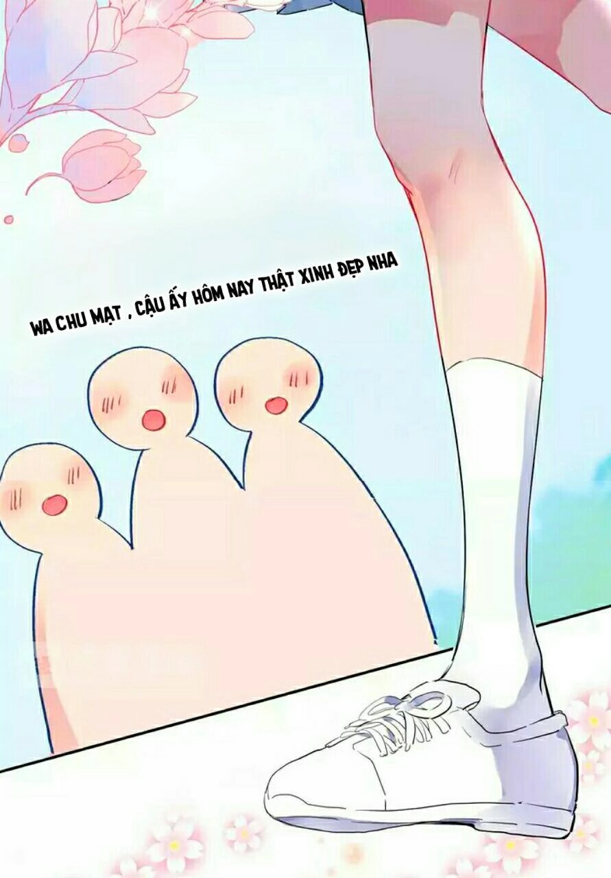 Dolo Mệnh Vận Giao Nang Chapter 4 - 48
