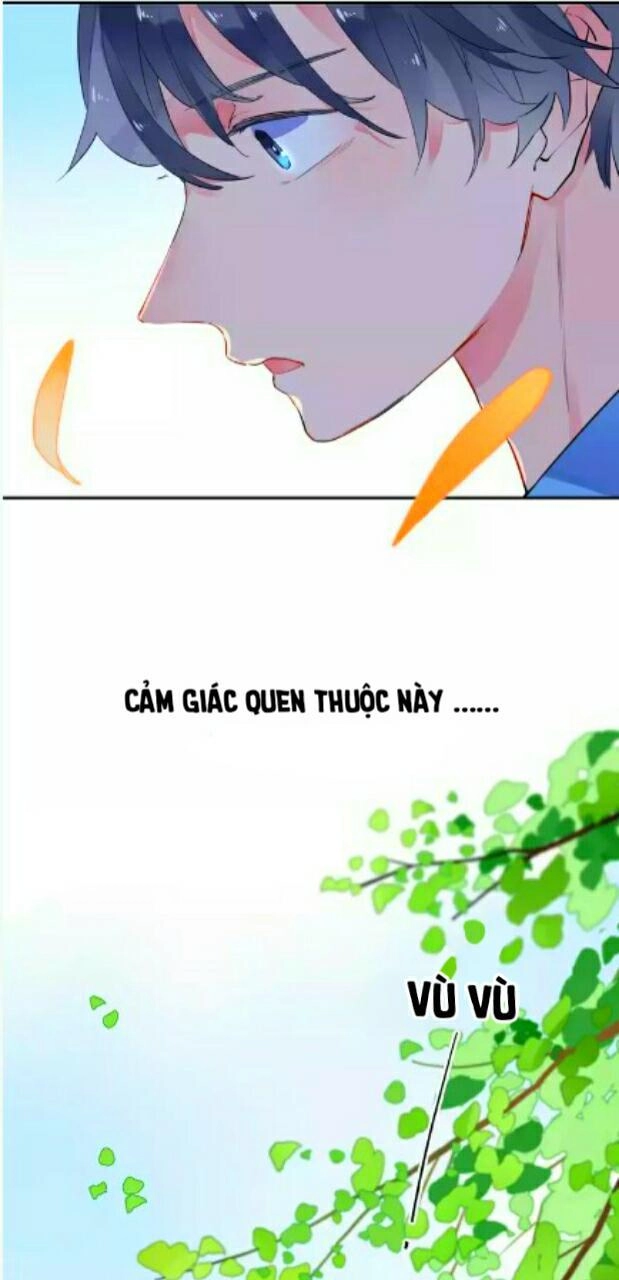 Dolo Mệnh Vận Giao Nang Chapter 7 - 71