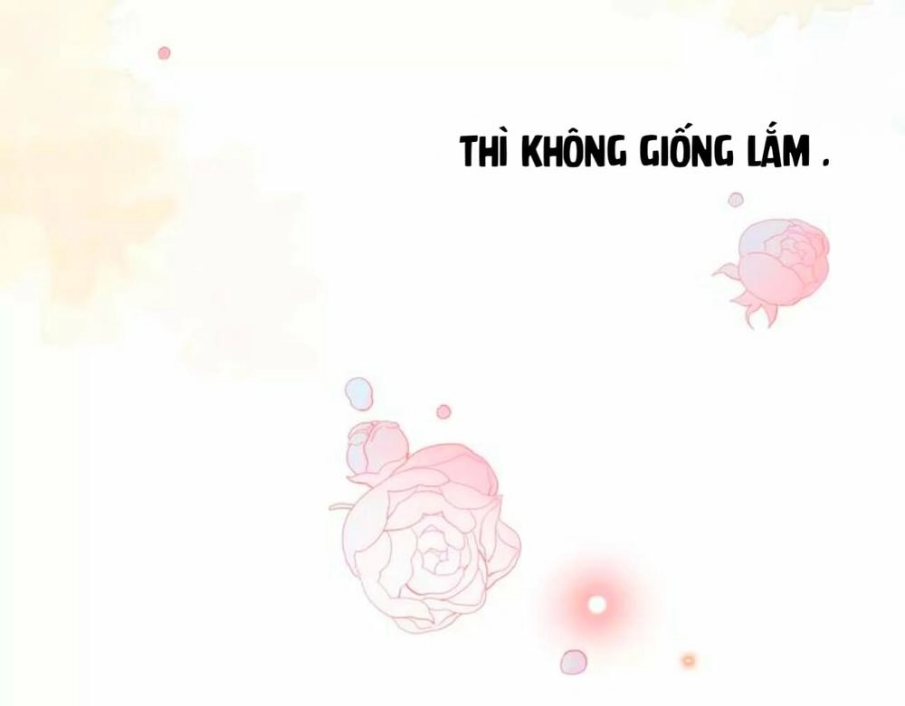 Dolo Mệnh Vận Giao Nang Chapter 9 - 16