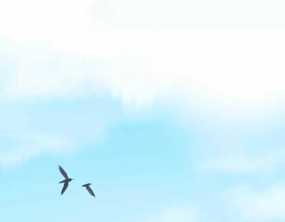 Dolo Mệnh Vận Giao Nang Chapter 9 - 53