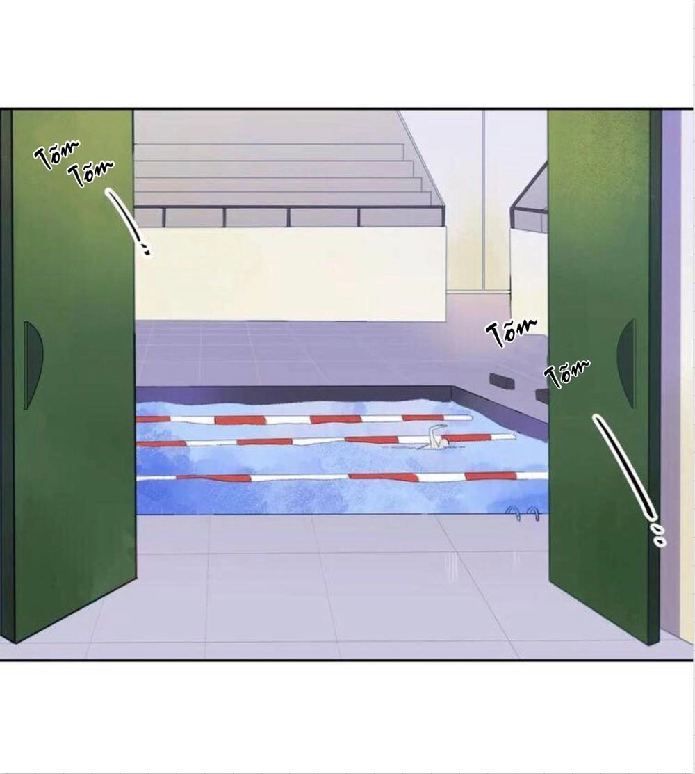 Dolo Mệnh Vận Giao Nang Chapter 16 - 24