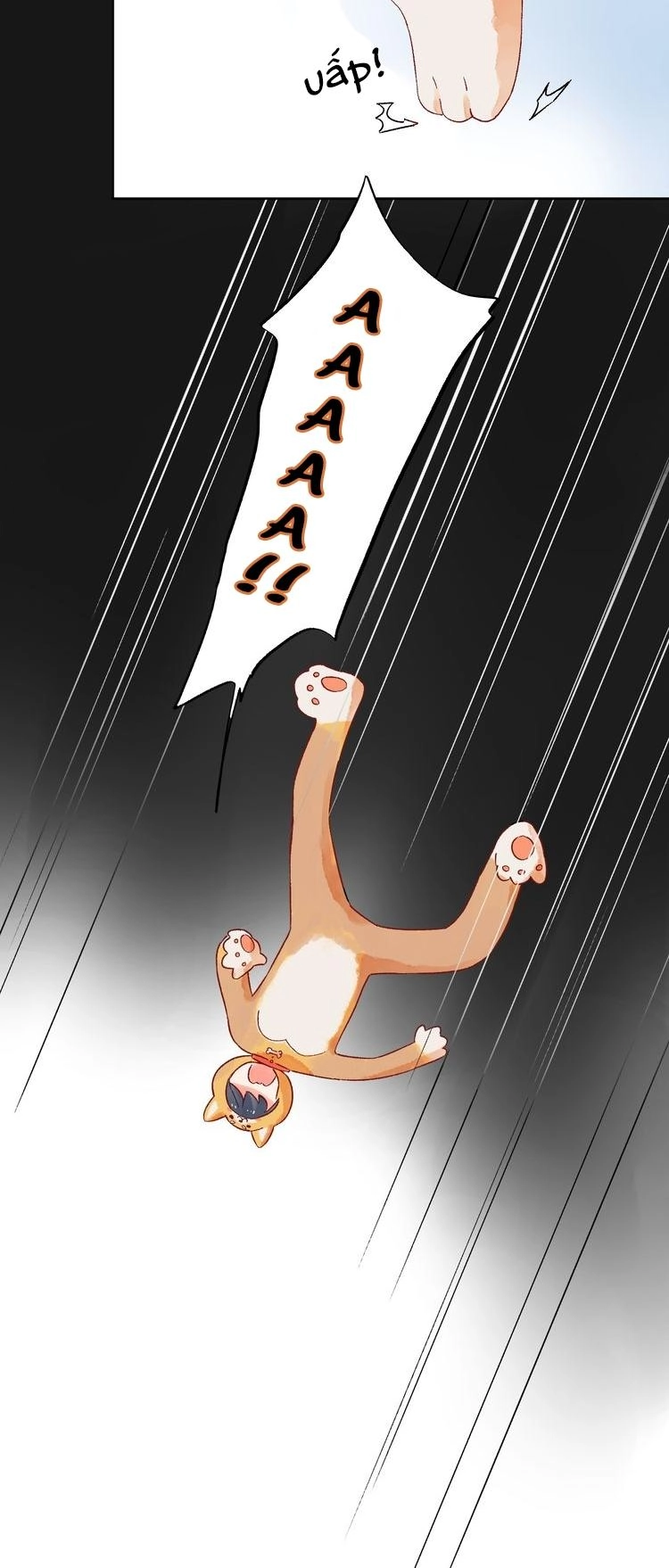 Dolo Mệnh Vận Giao Nang Chapter 18 - 54