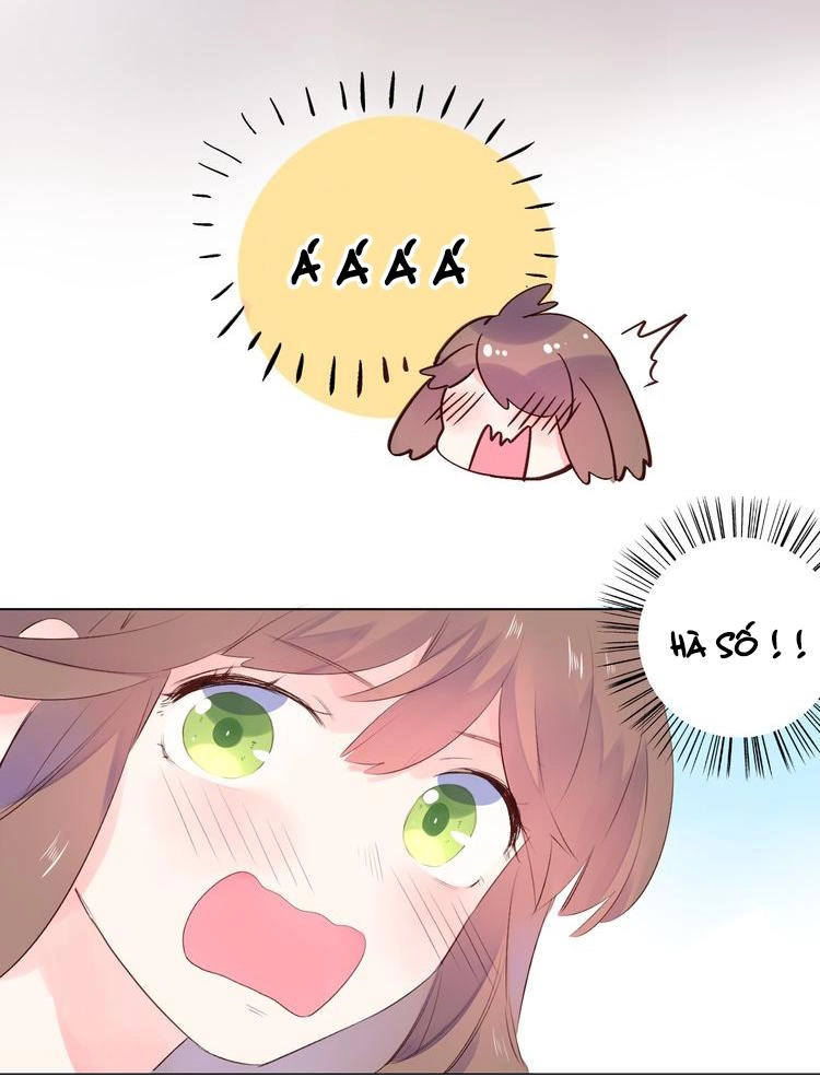 Dolo Mệnh Vận Giao Nang Chapter 23 - 59