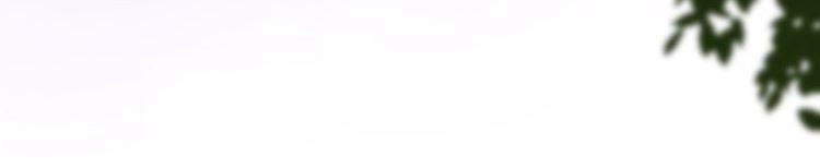 Dolo Mệnh Vận Giao Nang Chapter 29 - 4