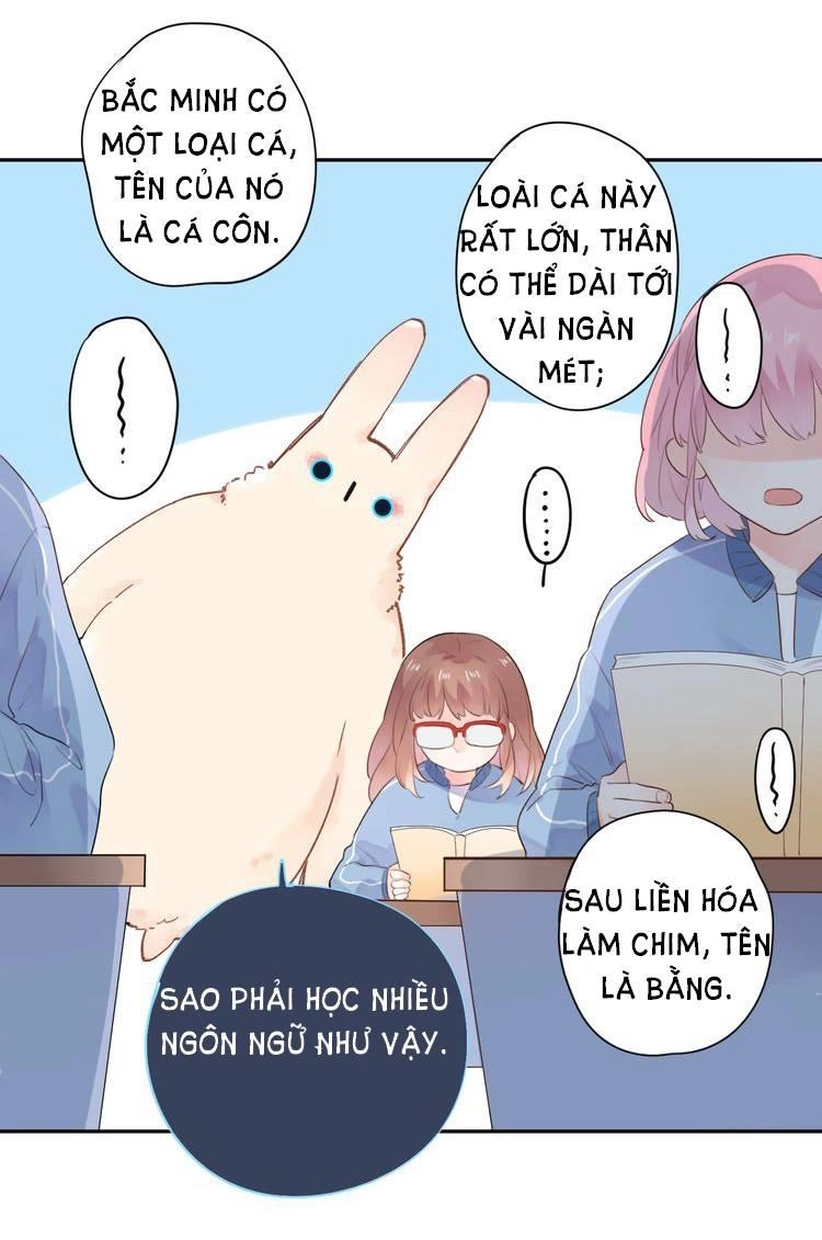 Dolo Mệnh Vận Giao Nang Chapter 31 - 19