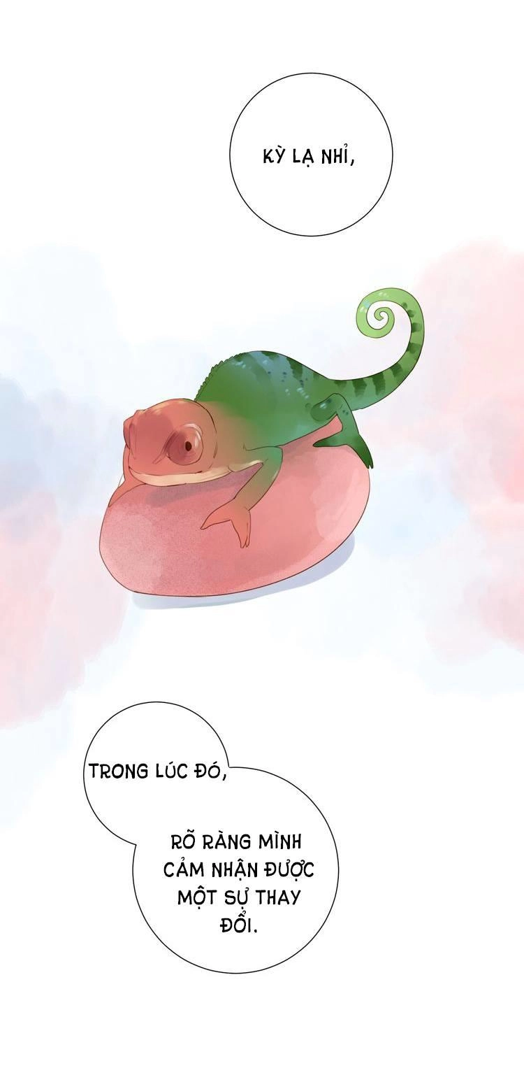 Dolo Mệnh Vận Giao Nang Chapter 31 - 59