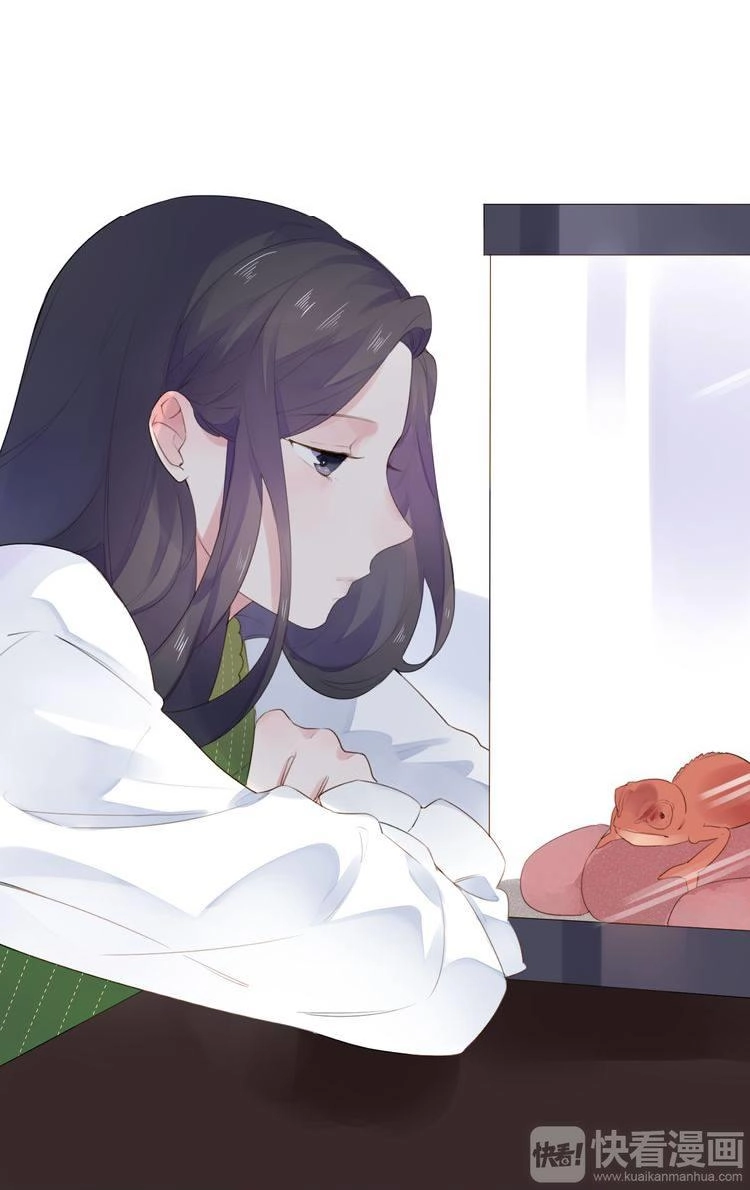 Dolo Mệnh Vận Giao Nang Chapter 31 - 60