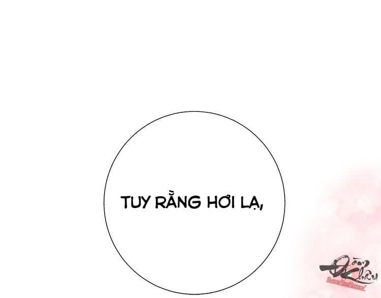 Dolo Mệnh Vận Giao Nang Chapter 33 - 39