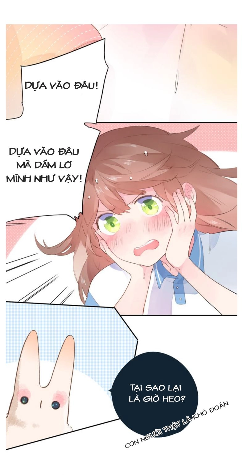 Dolo Mệnh Vận Giao Nang Chapter 35 - 13