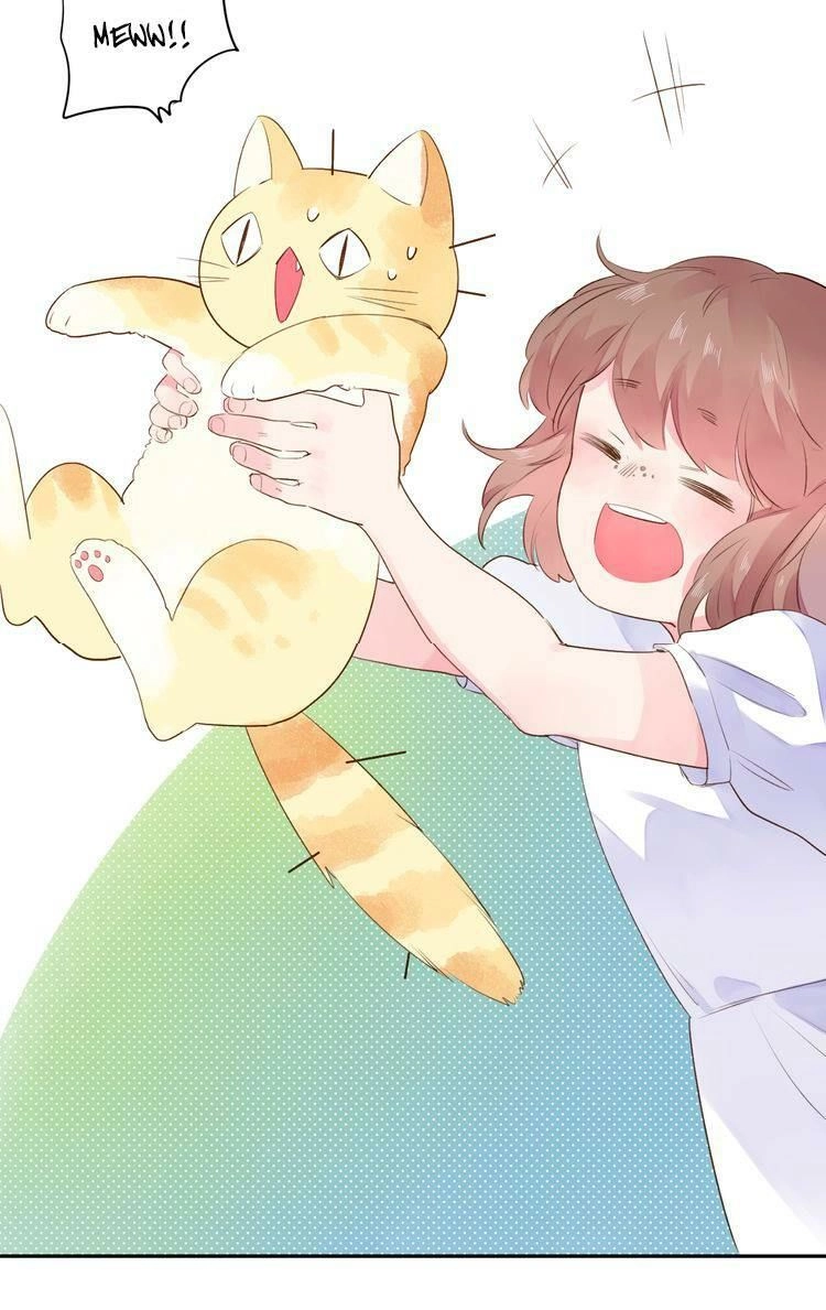 Dolo Mệnh Vận Giao Nang Chapter 37 - 95