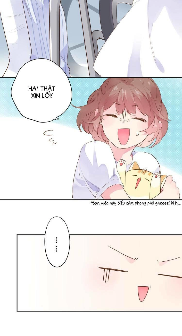 Dolo Mệnh Vận Giao Nang Chapter 37 - 98