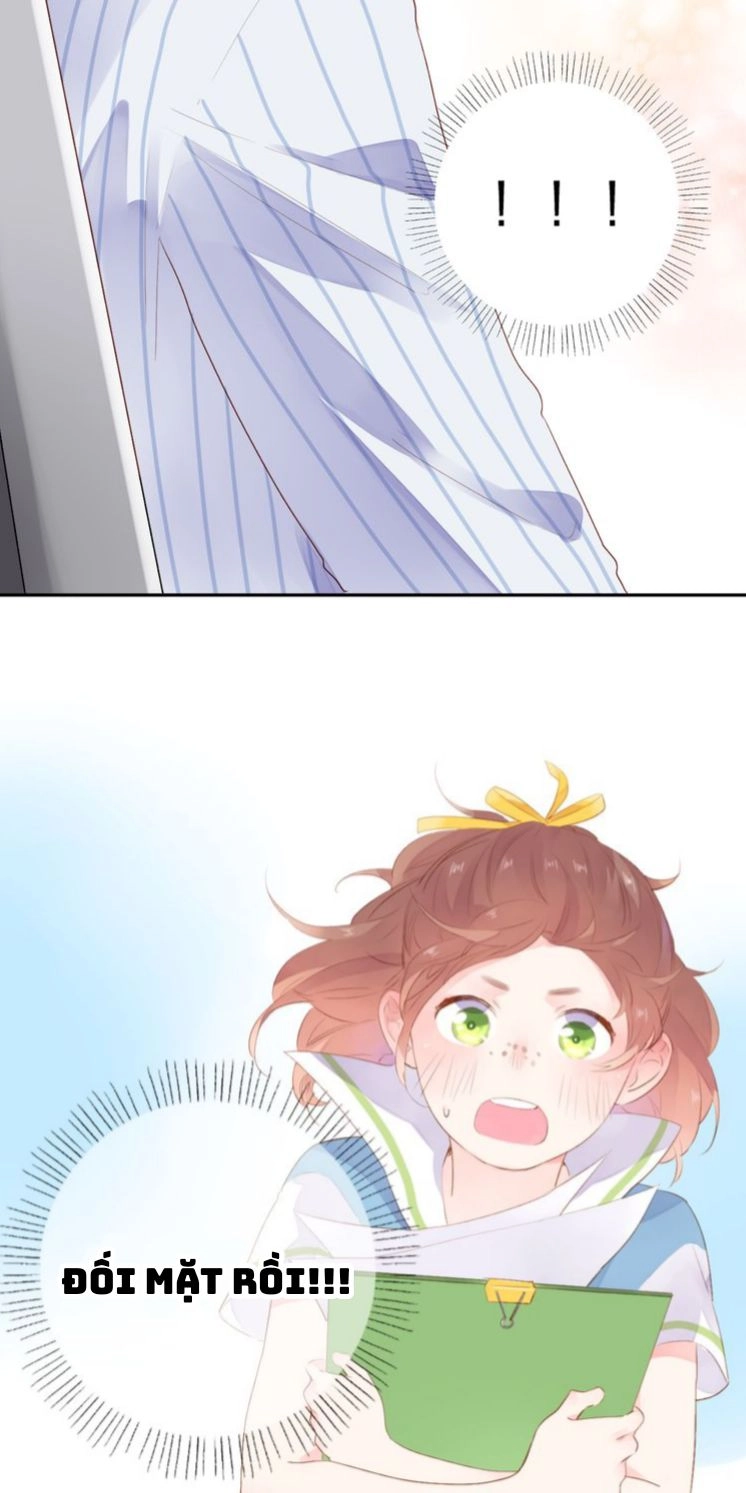 Dolo Mệnh Vận Giao Nang Chapter 39 - 4