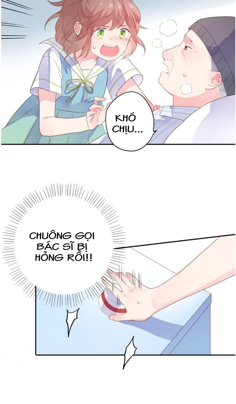 Dolo Mệnh Vận Giao Nang Chapter 39 - 6