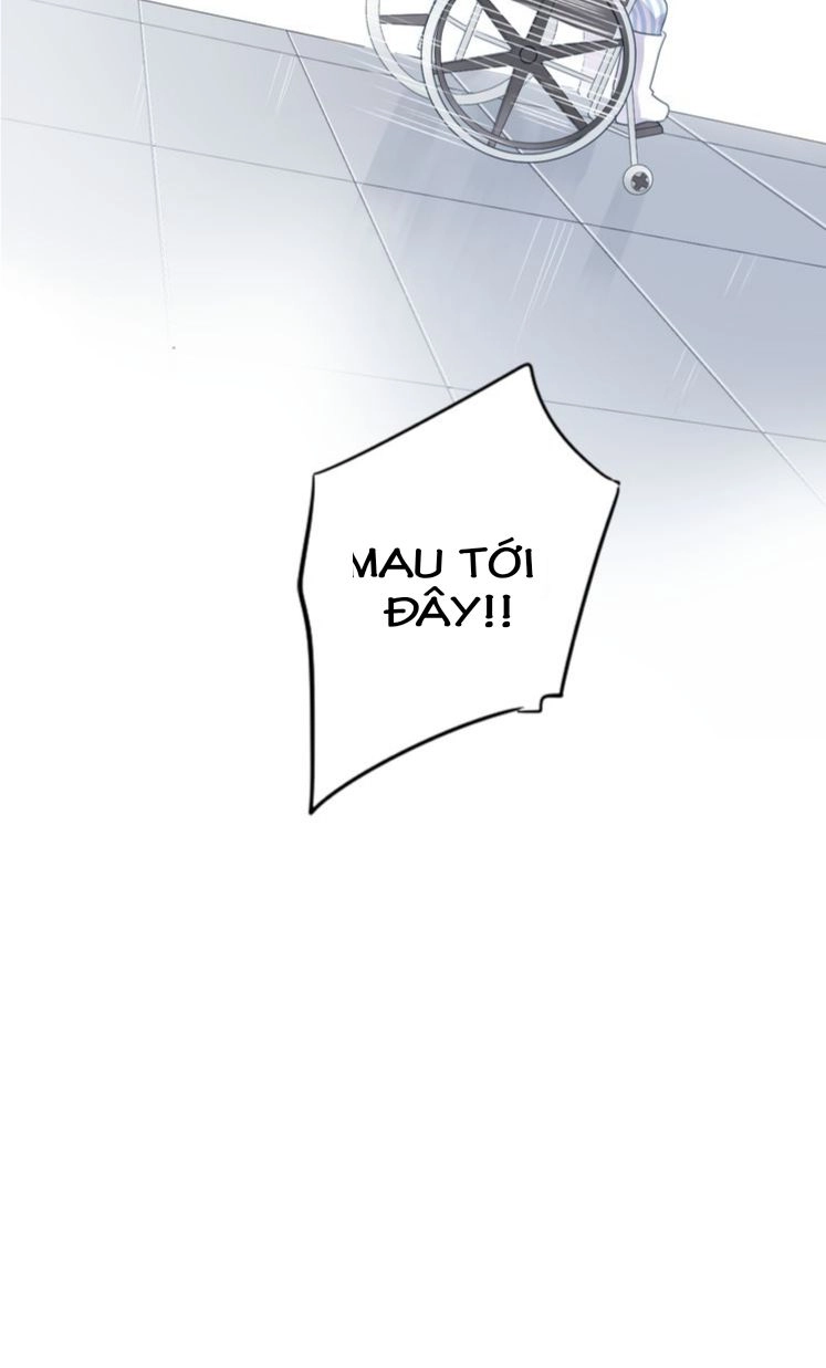 Dolo Mệnh Vận Giao Nang Chapter 39 - 12