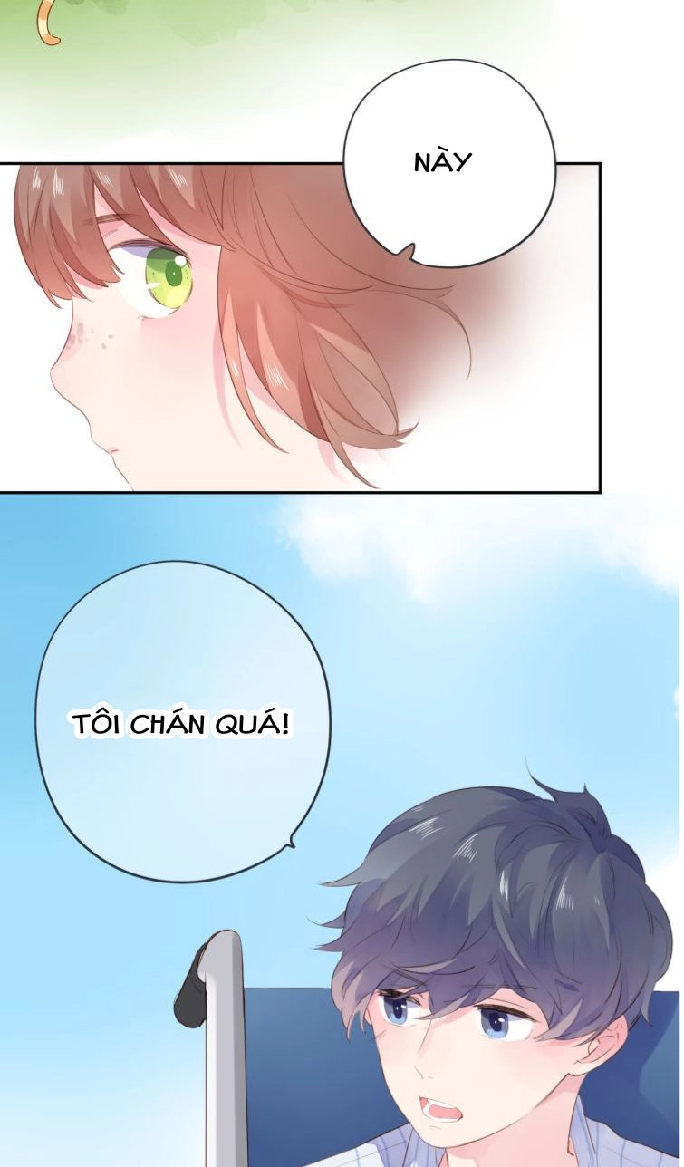 Dolo Mệnh Vận Giao Nang Chapter 39 - 69