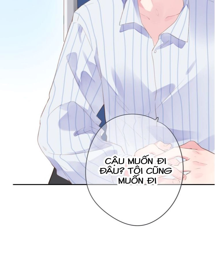 Dolo Mệnh Vận Giao Nang Chapter 39 - 70