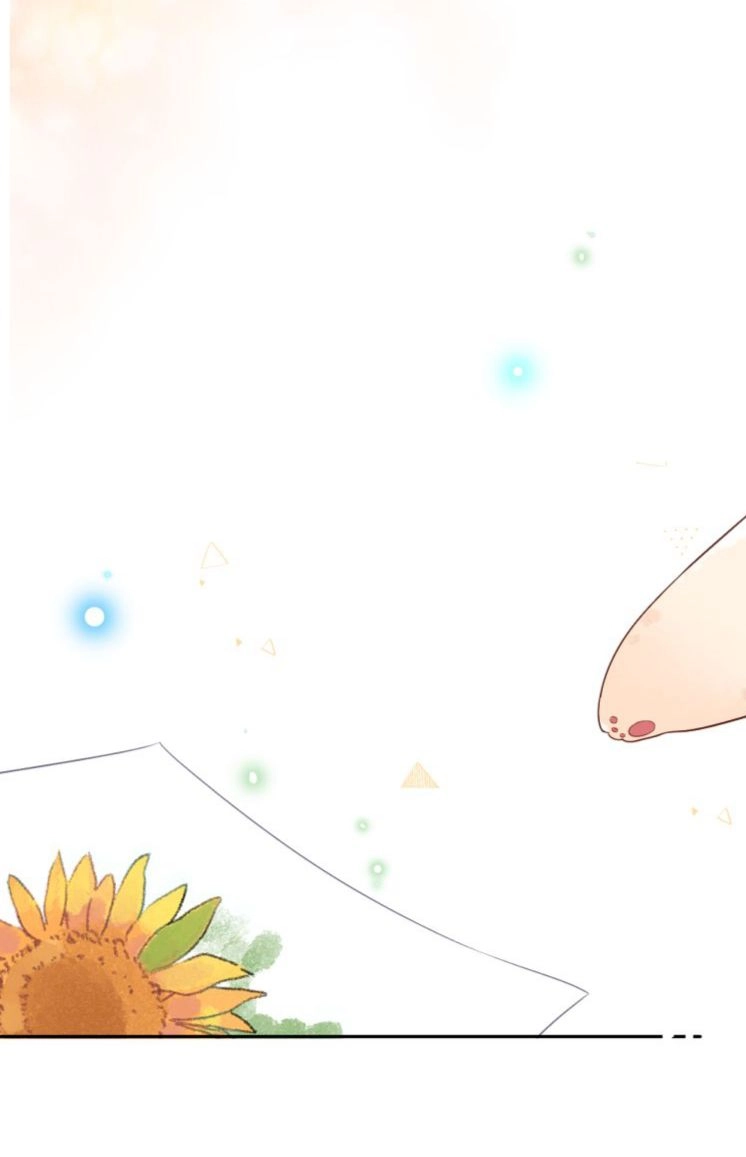 Dolo Mệnh Vận Giao Nang Chapter 39 - 88