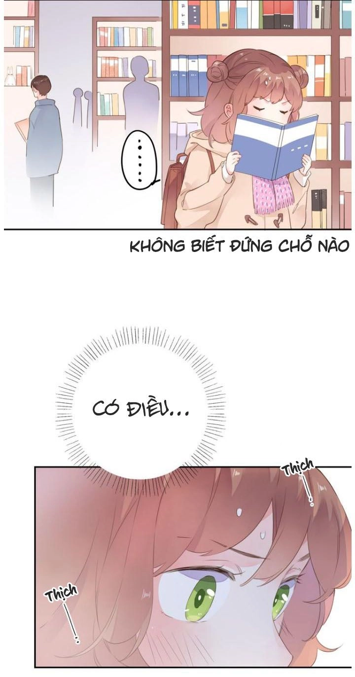 Dolo Mệnh Vận Giao Nang Chapter 42 - 16