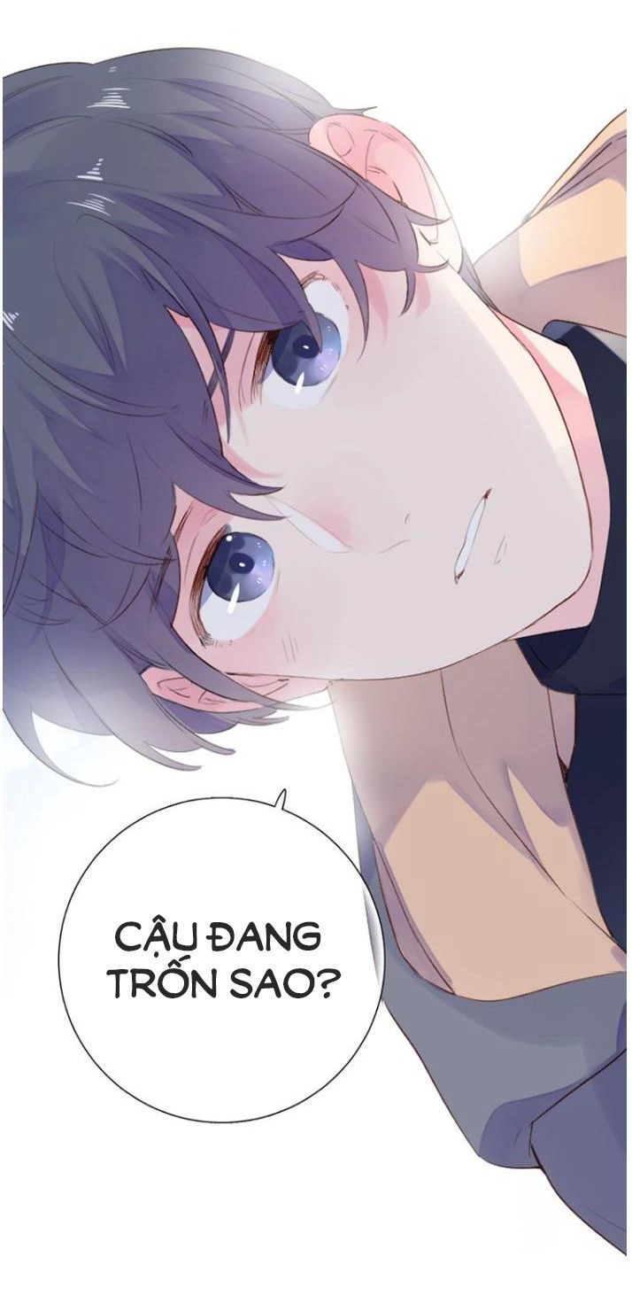 Dolo Mệnh Vận Giao Nang Chapter 42 - 46