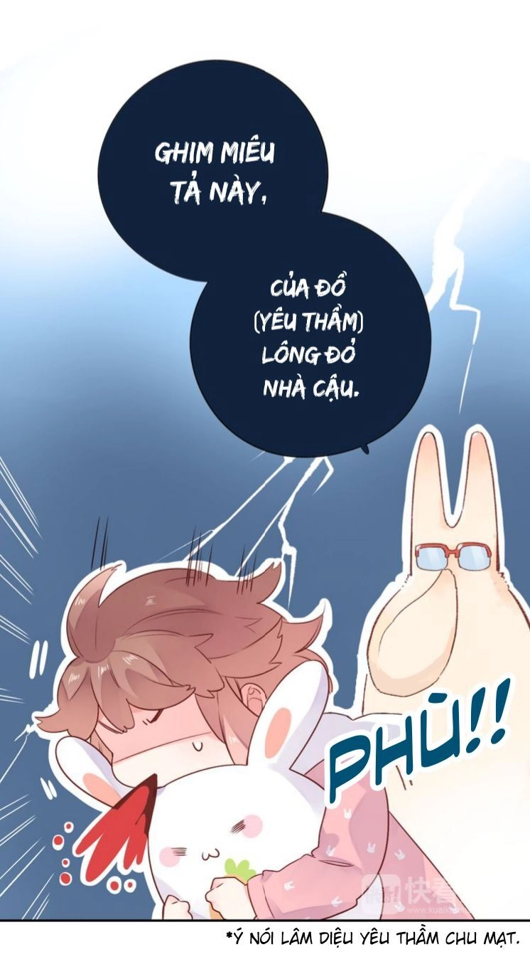 Dolo Mệnh Vận Giao Nang Chapter 46 - 23