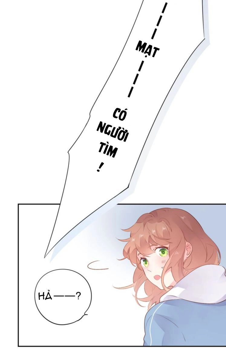 Dolo Mệnh Vận Giao Nang Chapter 46 - 49