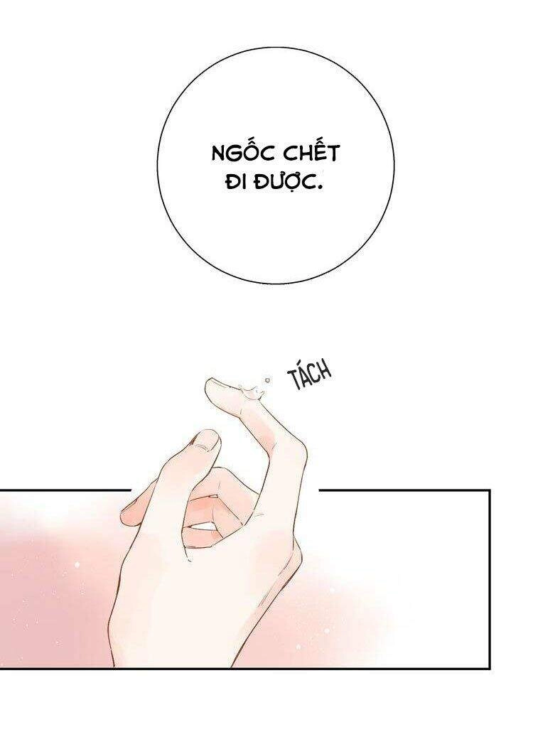 Dolo Mệnh Vận Giao Nang Chapter 50 - 70