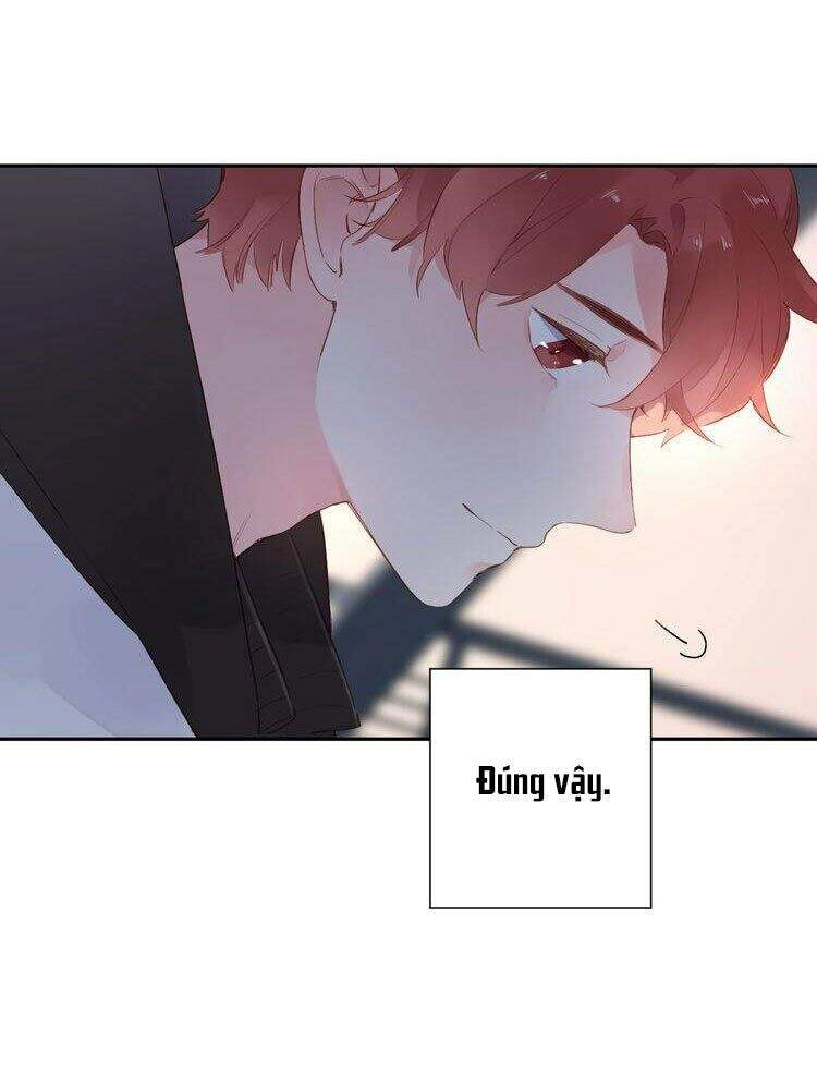 Dolo Mệnh Vận Giao Nang Chapter 50 - 82