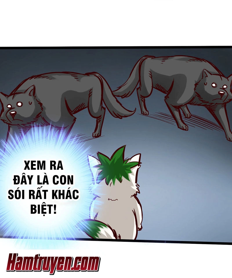 Thông Thiên Chi Lộ Chapter 14 - 35