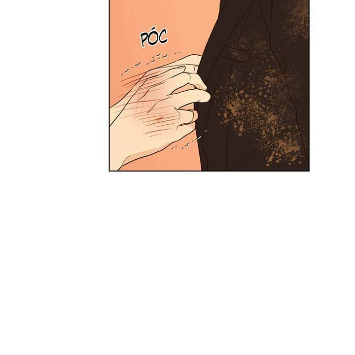 Vị Cứu Tinh Của Nhân Vật Phản Diện Chapter 22 - 72