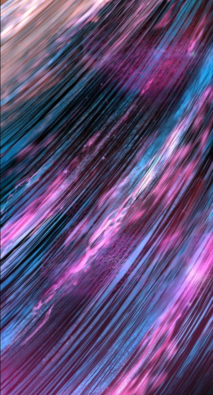 Chúa Tể Học Đường Chapter 555.5 - 67