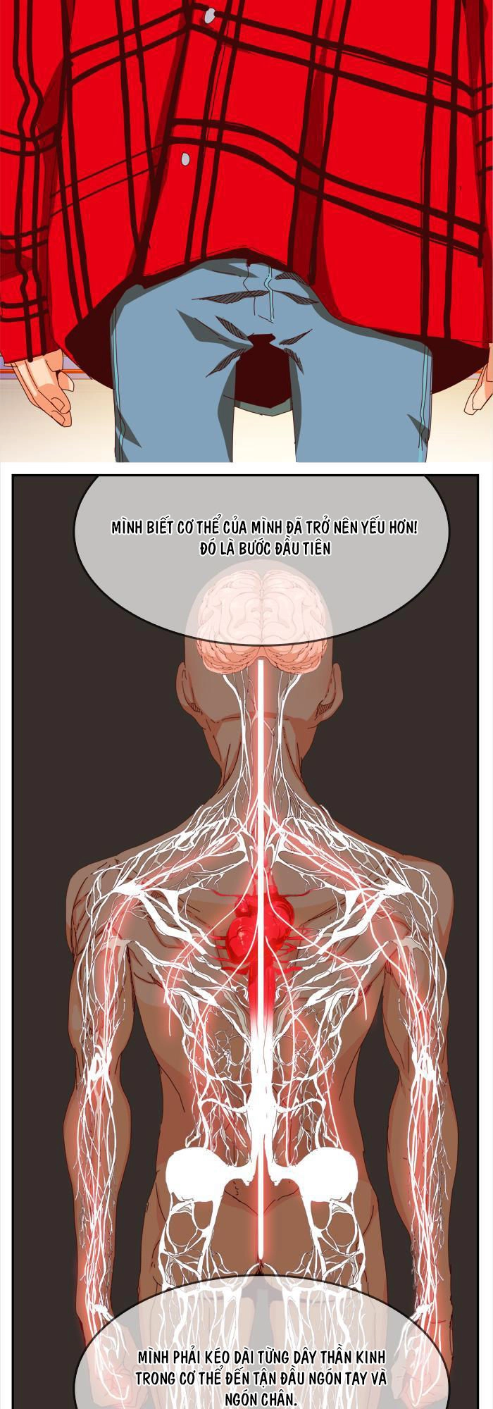 Chúa Tể Học Đường Chapter 359 - 33