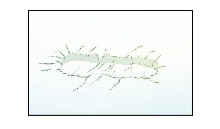 Chúa Tể Học Đường Chapter 449 - 73