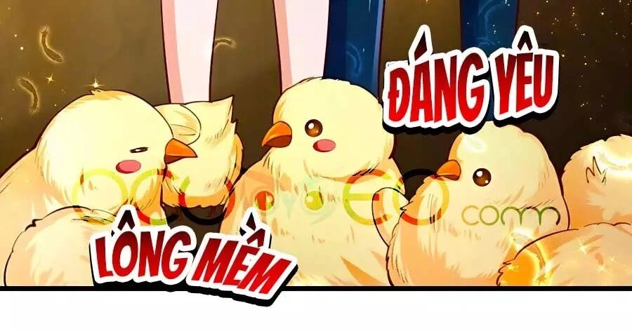 Bỗng Một Ngày Trở Thành Con Gái Nhà Vua Chapter 96 - 43