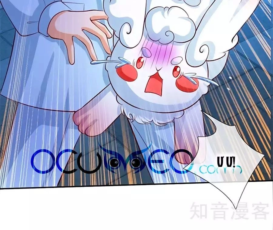 Bỗng Một Ngày Trở Thành Con Gái Nhà Vua Chapter 113 - 6