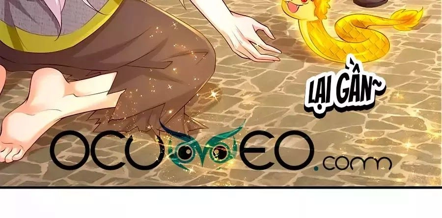 Bỗng Một Ngày Trở Thành Con Gái Nhà Vua Chapter 122 - 11