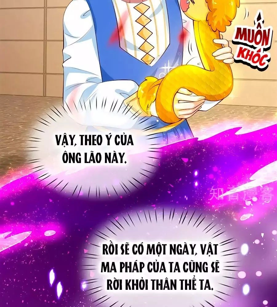 Bỗng Một Ngày Trở Thành Con Gái Nhà Vua Chapter 122 - 24