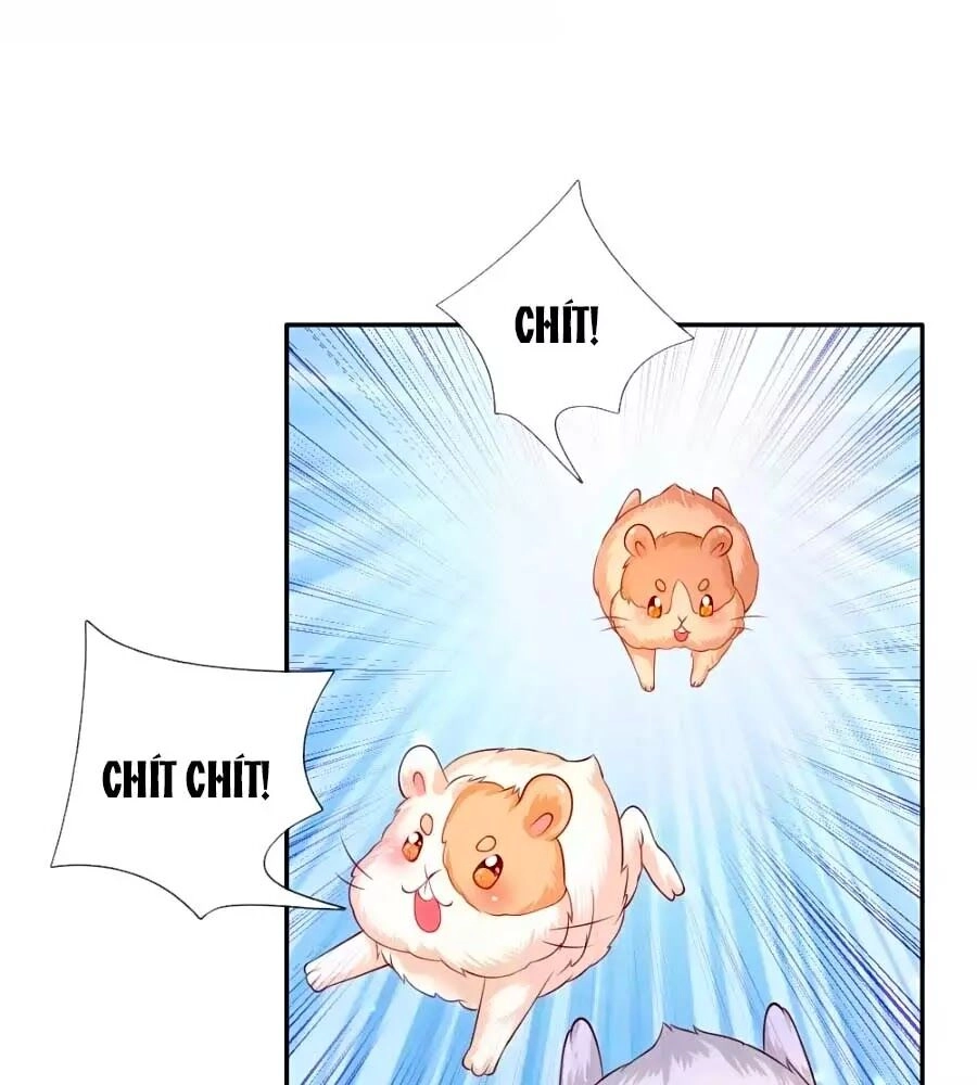 Bỗng Một Ngày Trở Thành Con Gái Nhà Vua Chapter 157 - 13