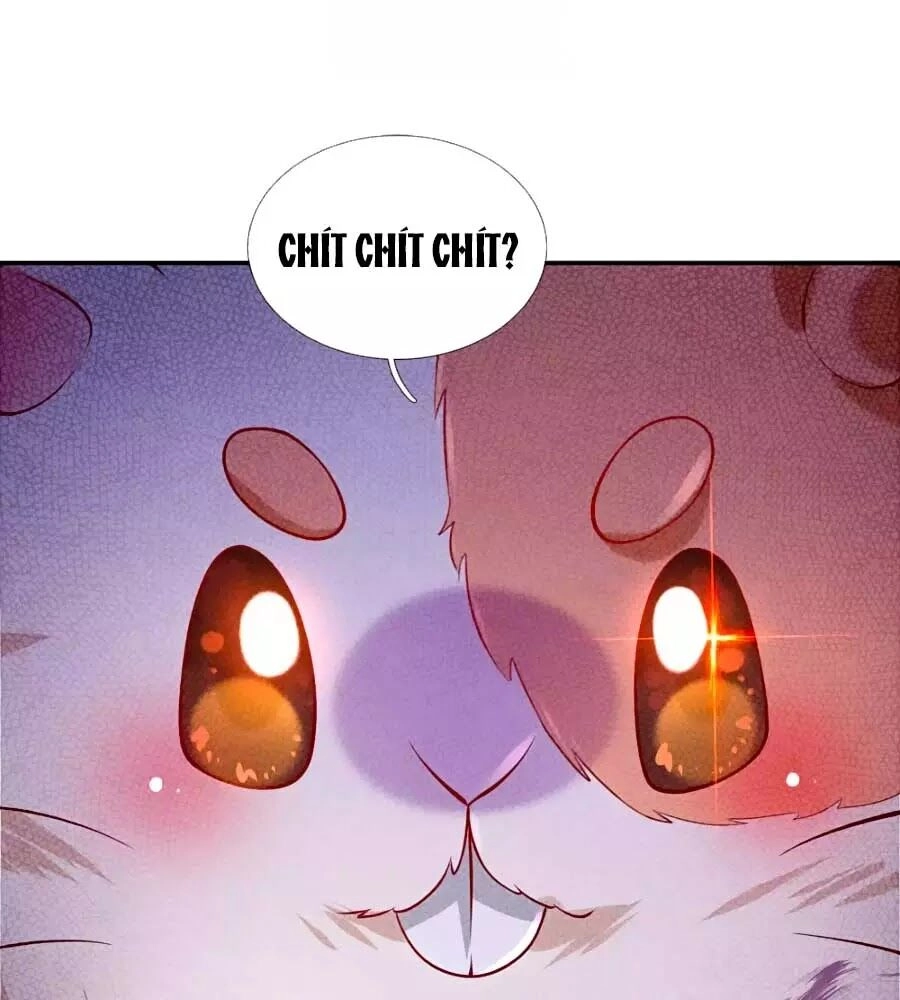 Bỗng Một Ngày Trở Thành Con Gái Nhà Vua Chapter 157 - 21