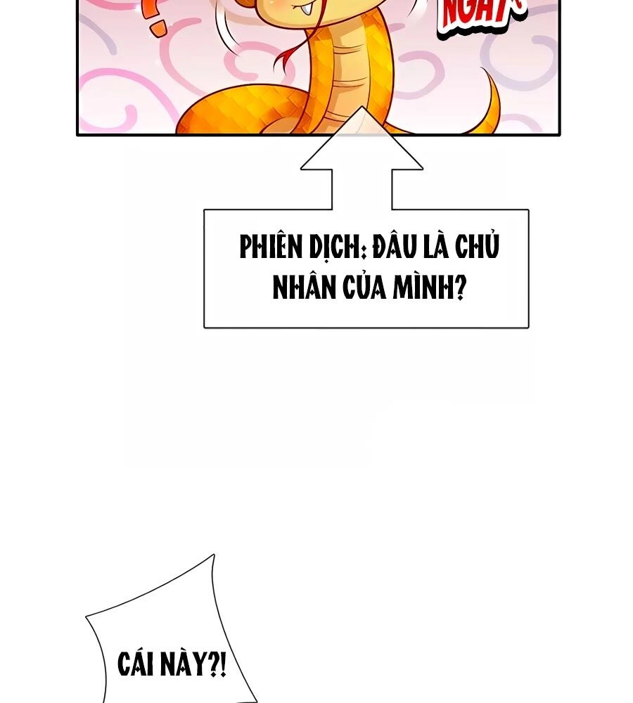 Bỗng Một Ngày Trở Thành Con Gái Nhà Vua Chapter 202 - 22